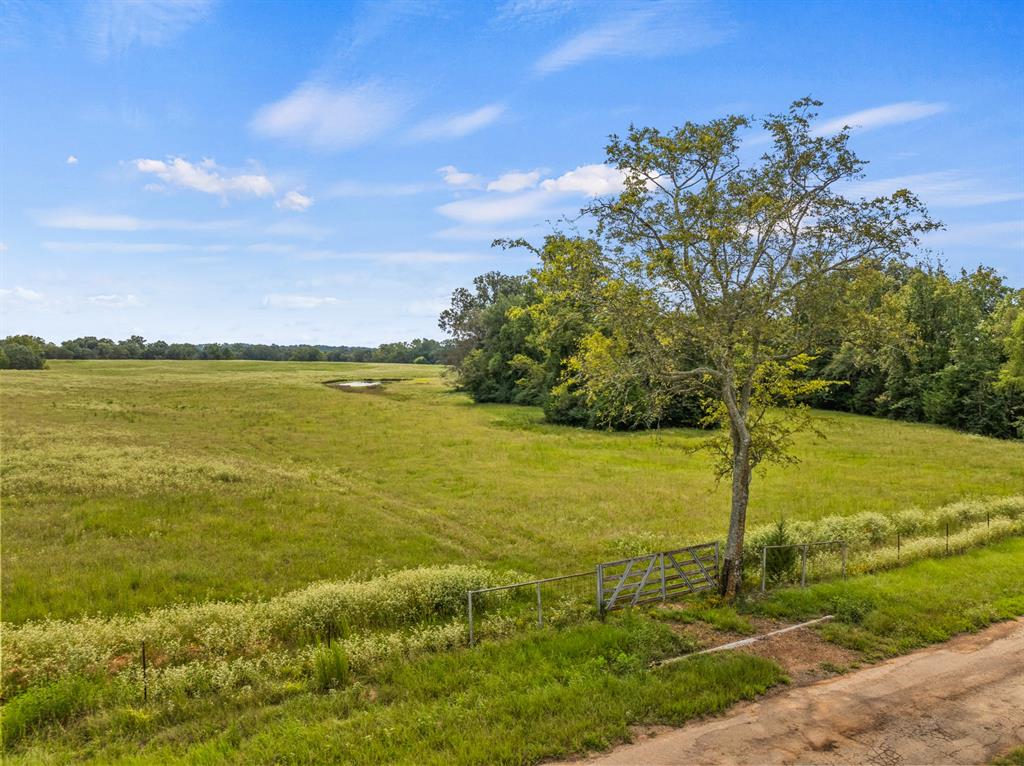 Experience tranquility at its finest with this versatile property nestled in a serene and peaceful location. With ample space for building your dream home or housing livestock, the sprawling grounds offer a perfect sanctuary to nurture and feed your animals. Unlock acres of potential and make your aspirations a reality with this remarkable piece of land. The possibilities are truly endless on this property, making it the cornerstone for your future endeavors.