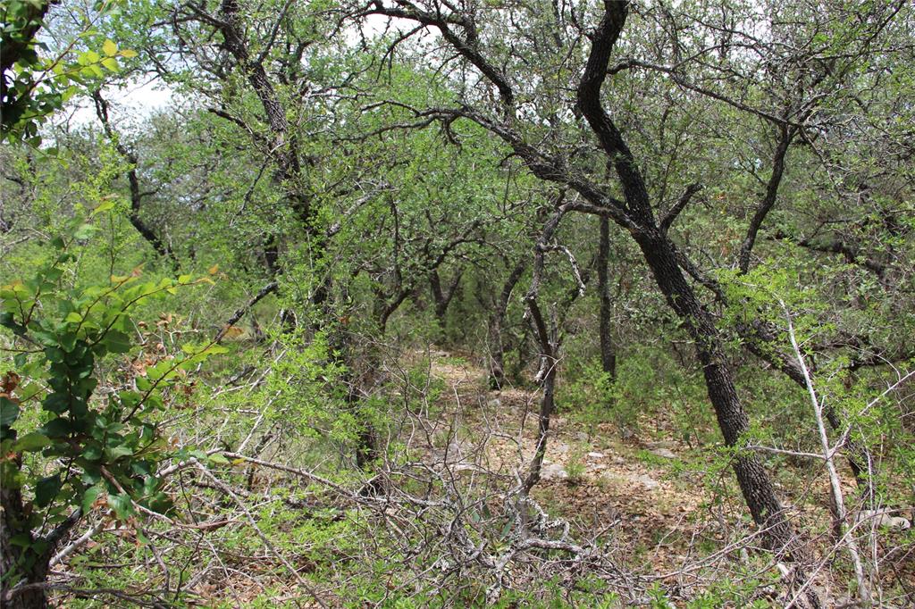 Clearlake Oaks Estates - Land