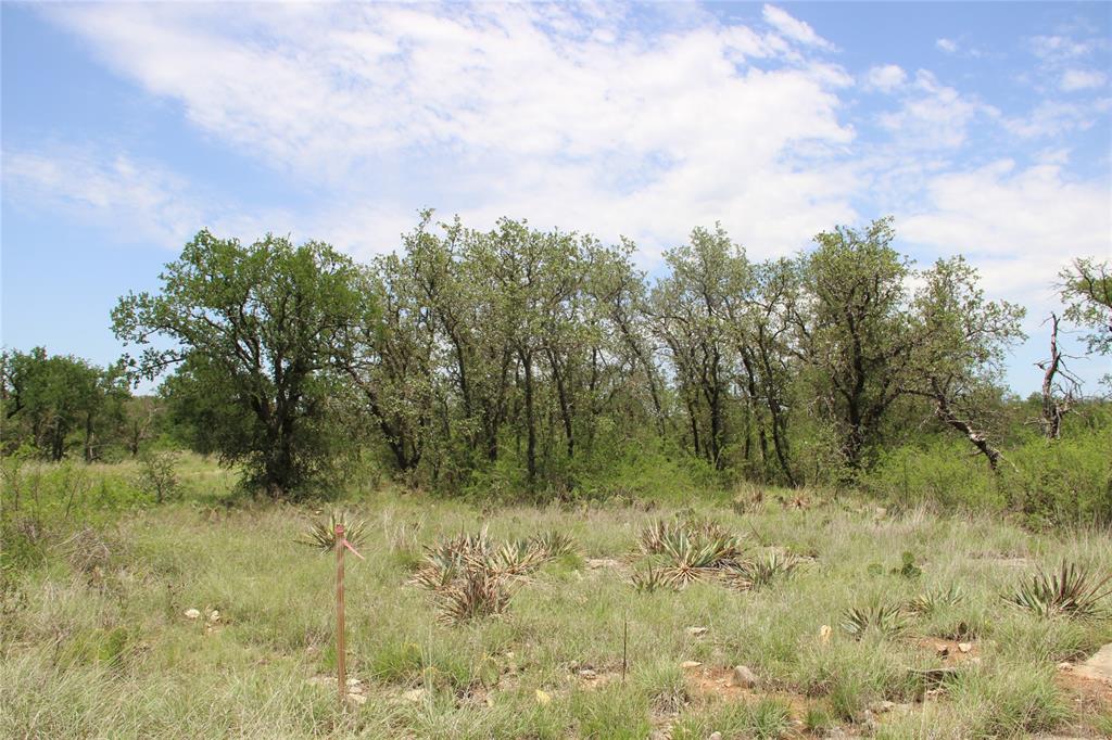 Clearlake Oaks Estates - Land