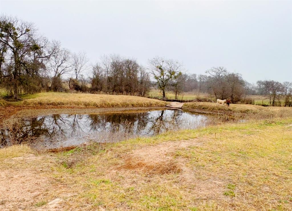 Chambers-Manchaca - Land