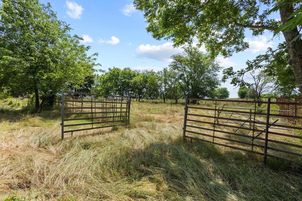 0141 - Farm