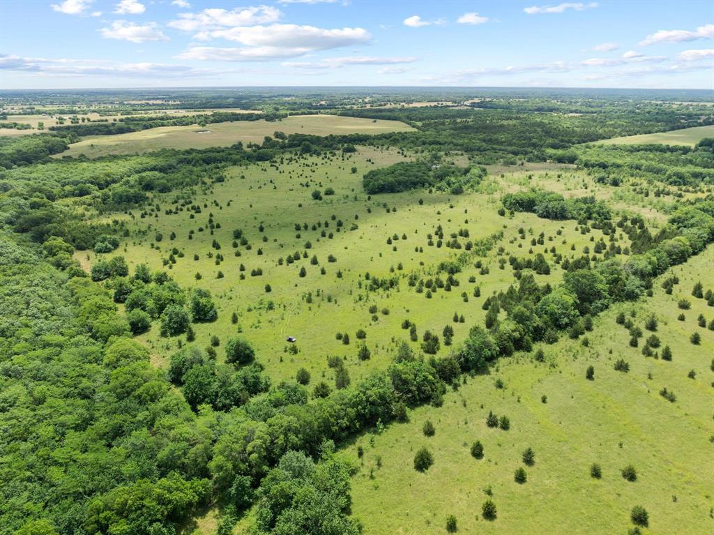 0141 - Farm
