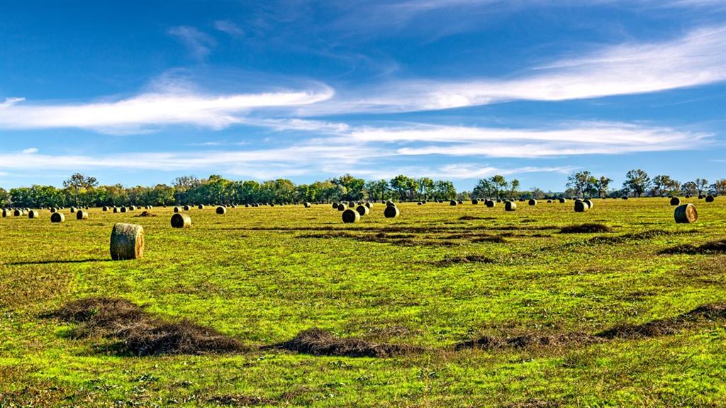 Bryan County - Land