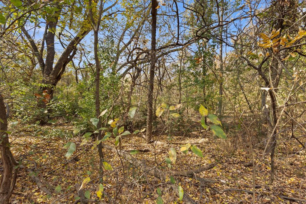 Pecan Acres - Land