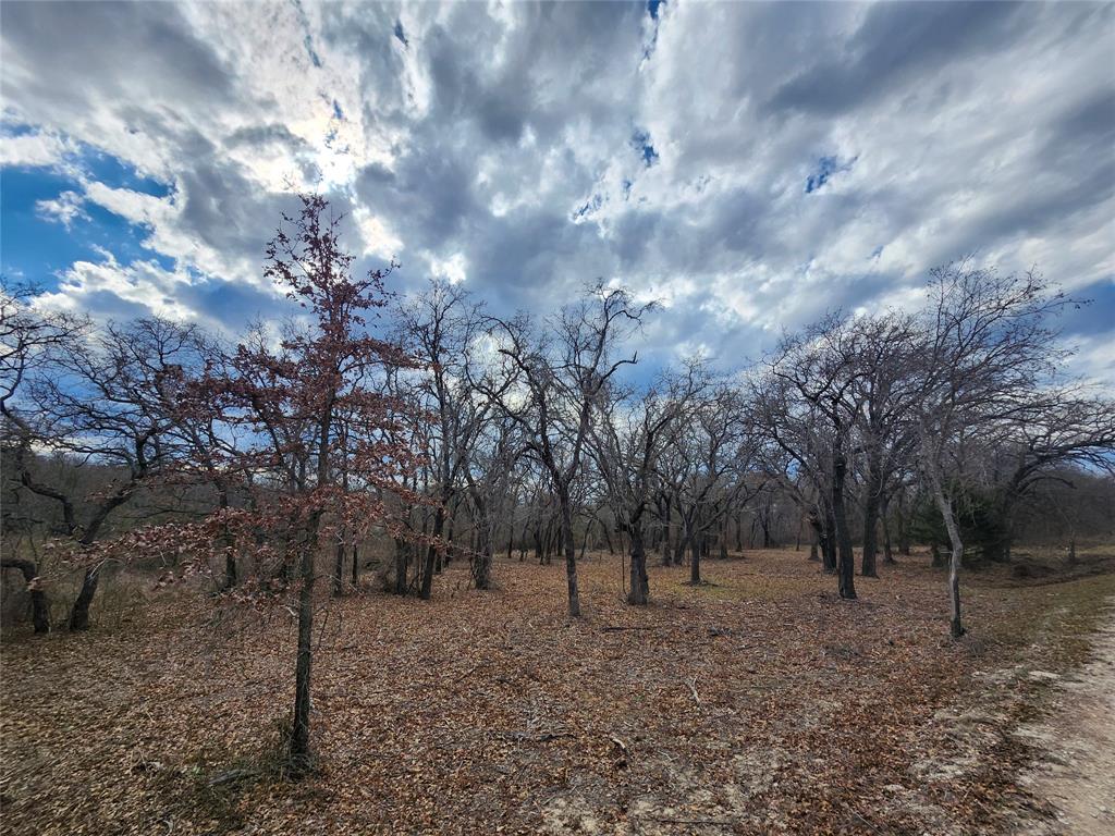 Nocona Hills - Land
