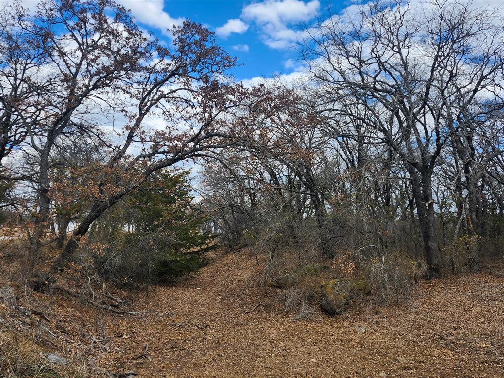 Nocona Hills - Land