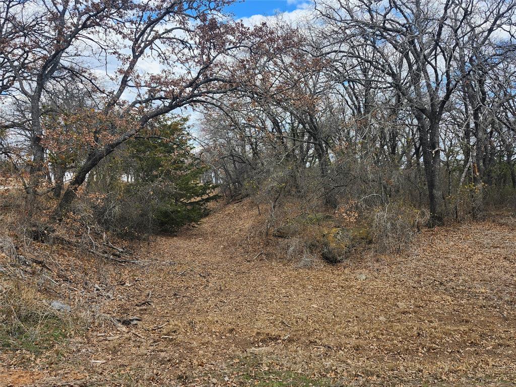 Nocona Hills - Land