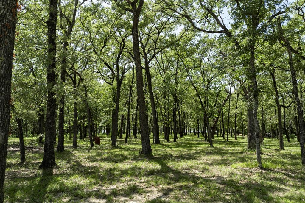 1-0 BUYDOWN offered with preferred lender. Nestled at the end of a peaceful cul-de-sac in the coveted Nautical Shores community, this rare 1-acre lakefront lot—paired with an additional 0.93 acres of SRA leaseback—offers the ultimate in privacy, natural beauty, and potential. Backing to open SRA land on the north and west, this property is surrounded by protected space, ensuring unobstructed views, quiet surroundings, and a front-row seat to Lake Tawakoni’s abundant wildlife—including the deer that regularly pass through.

Through the dedicated efforts of the current owners, approximately 95% of the lot and leaseback area has been thoughtfully cleared and maintained—including dead tree removal, brush cleanup, and mowing—making the property exceptionally easy to manage and ready for future use.

Located in the lakeside neighborhood, Nautical Shores offers communal mailboxes—keeping your property clean and unencumbered by curbside installations, paved roads, underground utilities, streetlights, and a private marina for residents. With a minimum 1,400 sq ft build requirement and quality homes throughout the community, this is an ideal canvas for your dream retreat or future home.

SEEKING EVEN MORE space and opportunity, the adjacent 2.15-acre parcel (plus 1.01 SRA acres)—featuring a 3.730 sqft residence AND 2,000 sqft shop with electricity and water available NOW, enhancing privacy, space, and long-term value (MLS 21067885). 

Whether you envision a quiet escape or a long-term investment, this property offers it all: lake access, trees, privacy, and a tranquil setting just a short drive from the city.