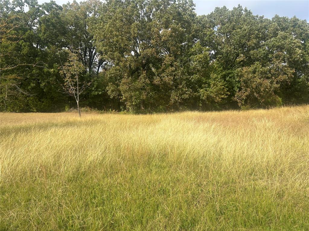Discover the opportunity to own a beautiful lot in the desirable Paradise Bay community. Enjoy all the perks of lake living with boating, fishing, and outdoor recreation just minutes away. This peaceful yet growing area offers the ideal setting to build your dream home.

With easy access to utilities, paved roads, and community amenities, these lots provide a perfect balance of convenience and tranquility. Located in Tool, TX—known for its serene atmosphere and small-town charm—you’ll also appreciate the close proximity to Dallas, offering an ideal blend of escape and accessibility. Seller financing available