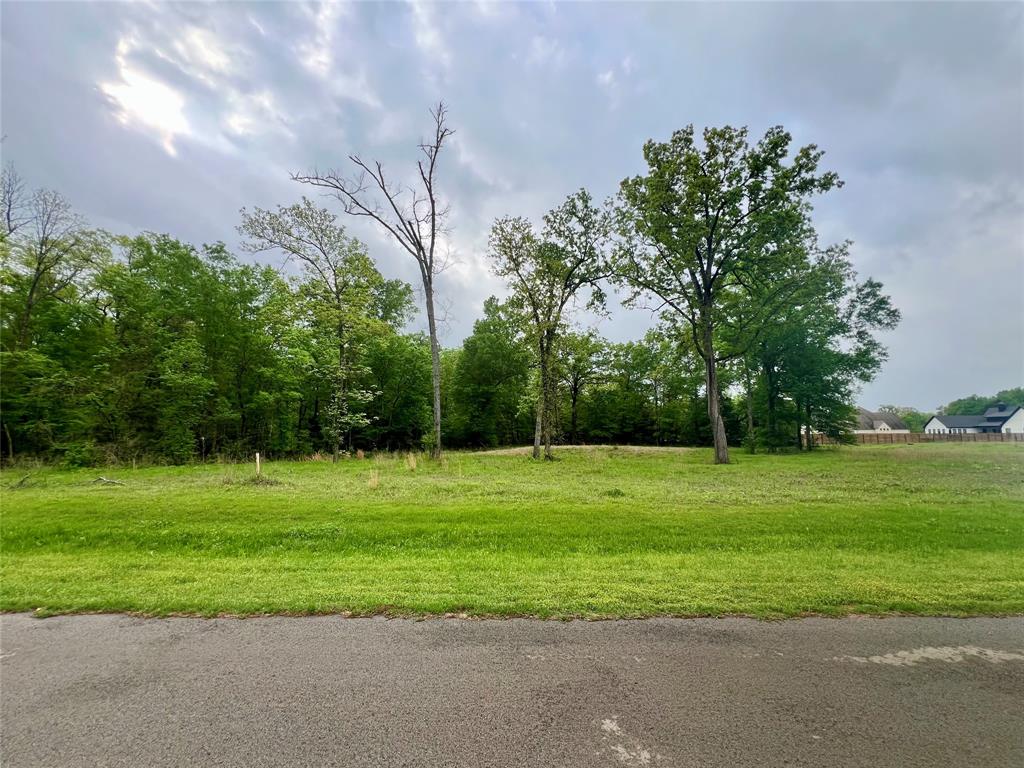 Blue Ridge Estates - Land