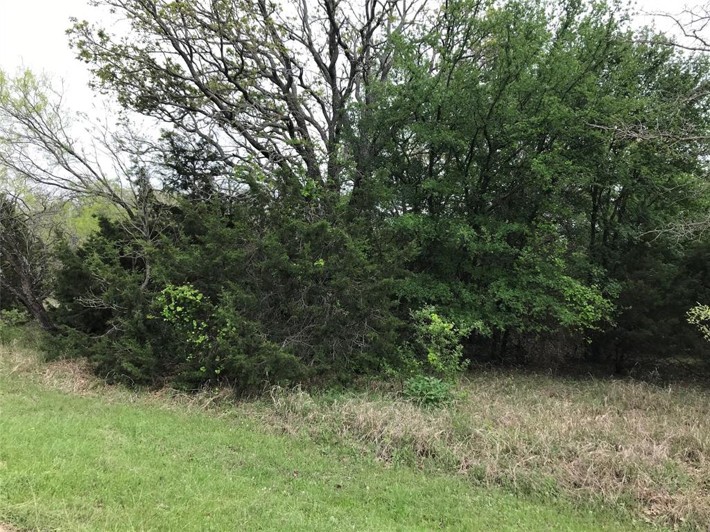 White Bluff #31 - Land