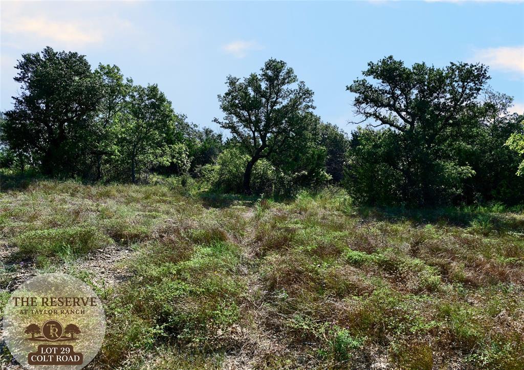 The Reserve at Taylor Ranch - Land
