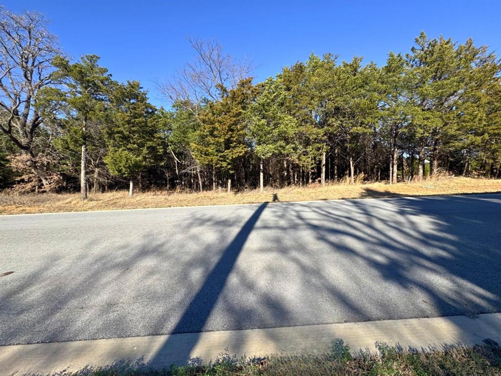 OWNER FINANCING AVAILABLE!! Create your ideal full-time residence or weekend retreat in this highly sought-after Rock Creek subdivision, Palisades III, where you're just a short 5-minute walk to Lake Texoma. Contact us for more details.