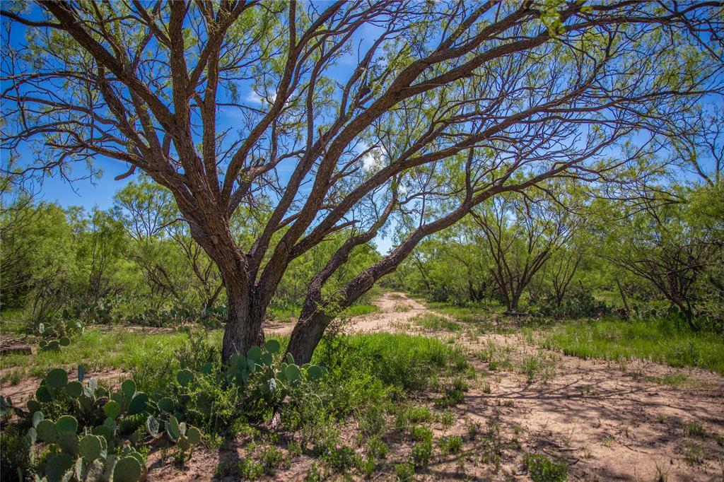 BIG CHANGE in acres, because new survey showing 4088 acres, that's 4,246.00 per ACRE Tranquility Mesa Ranch, This property is really located in remote area near the geometric heart of Texas, and will check off all your boxes for a big time ranch, Hunting is first class, with Whitetail, Turkey, Hogs and all predators, Deer camp is the perfect place to get away from it all, with bunk house, showers, bathroom and more, also old homestead house that can be utilized complete with electricity, water and septic. Camp is located close to a set of steel pipe working pens set up for a large cattle operation. Ranch has 4 established water wells, 3 on solar, one direct to grid, Fencing is in good shape with many pastures for rotating stock,large portion of ranch has high fences on about half of ranch, Ranch also features 8 stock tanks ranging in size, and were excavated in the near past to gain tremendous amount of water. The terrain on ranch is as varied as Texas with high ridge lines, mesa views