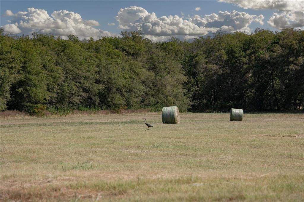WM HICKMAN - Land