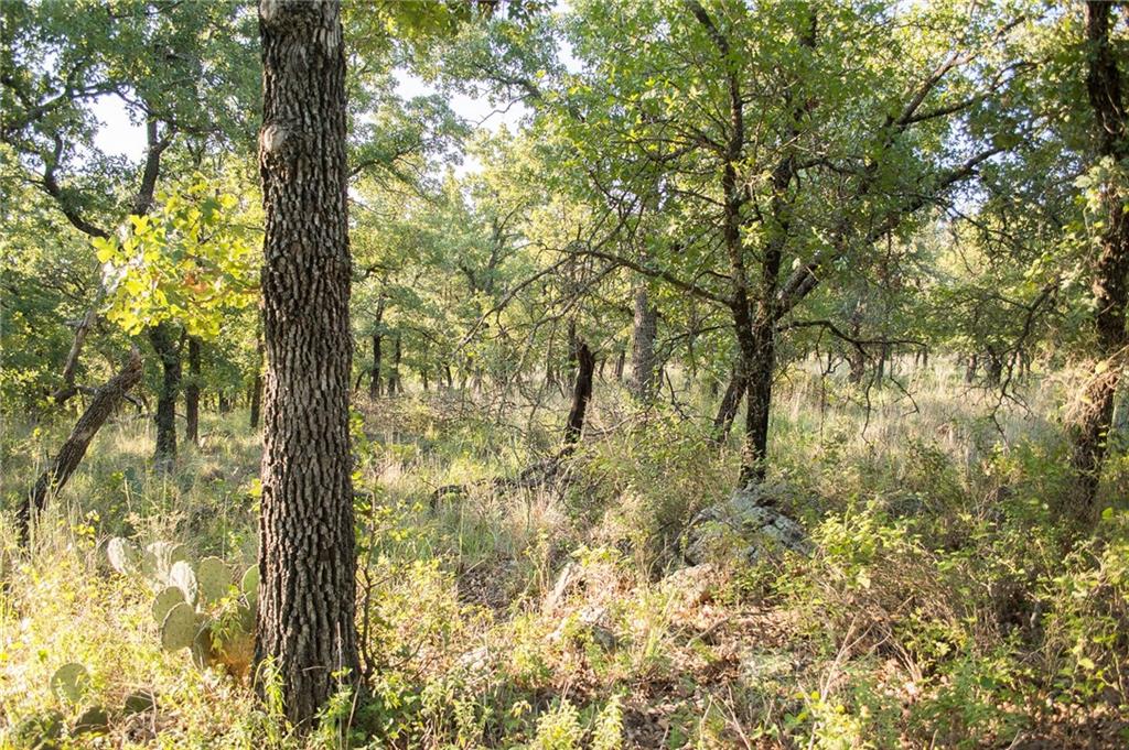 7-R Ranch - Land