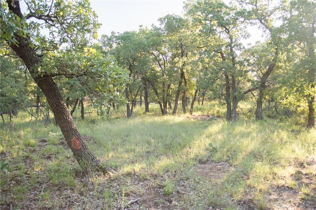 7-R Ranch - Land