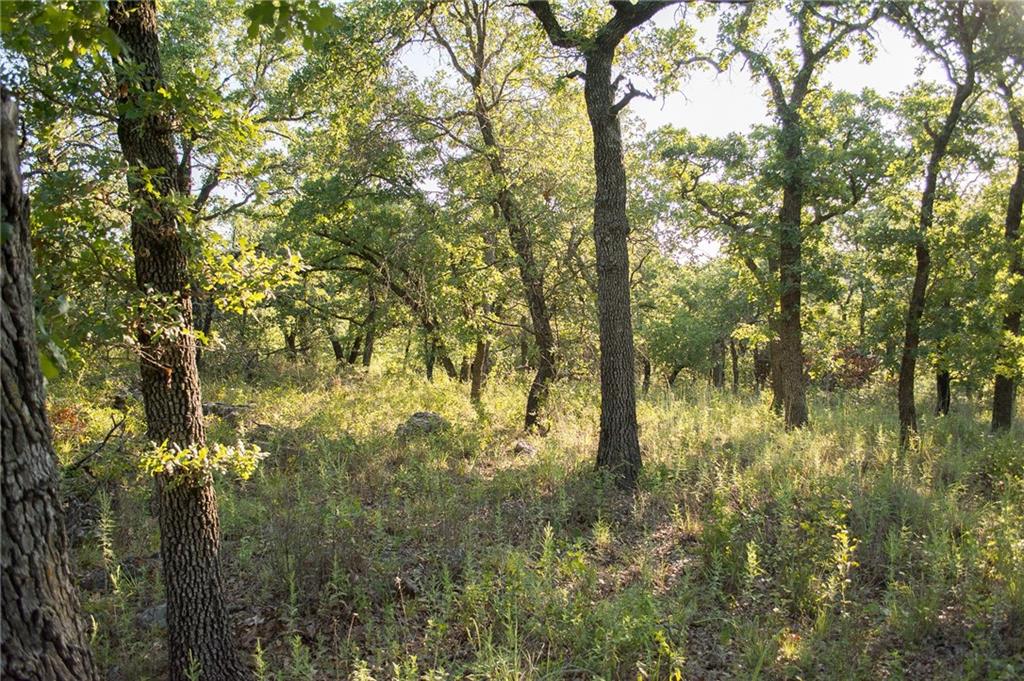 7-R Ranch - Land