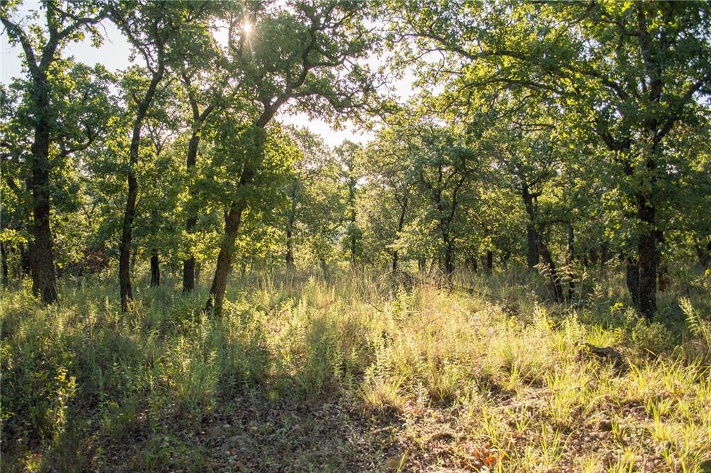 7-R Ranch - Land