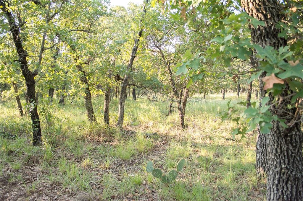 7-R Ranch - Land