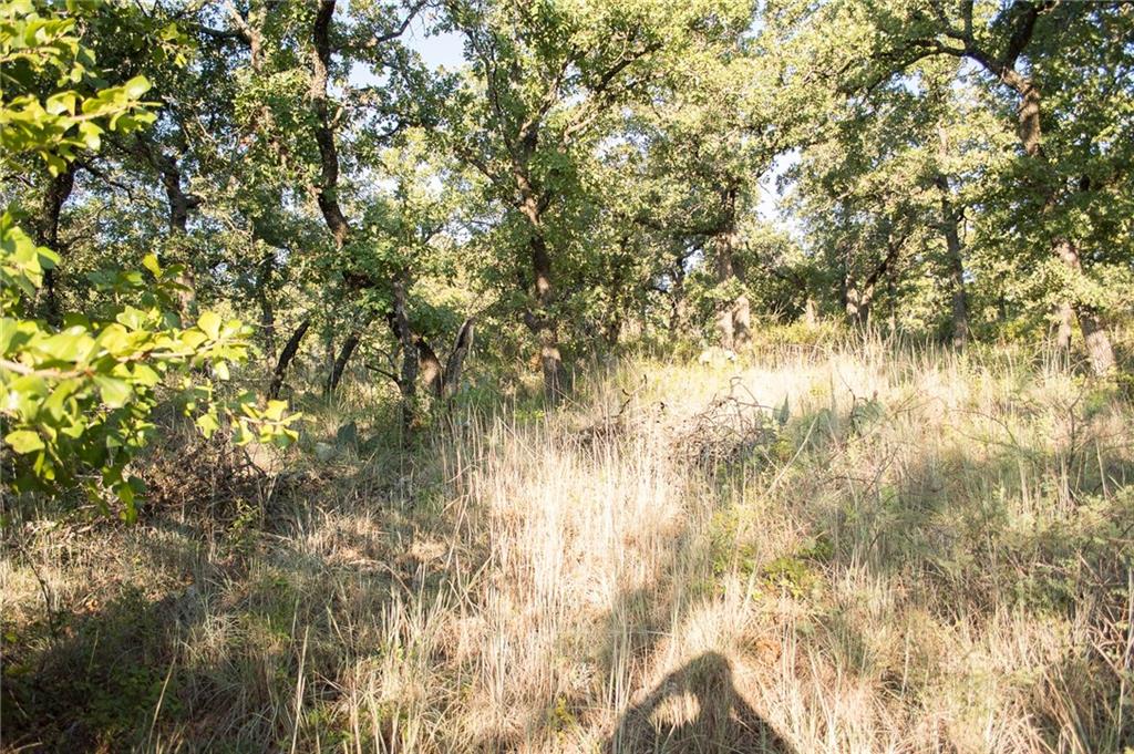 7-R Ranch - Land