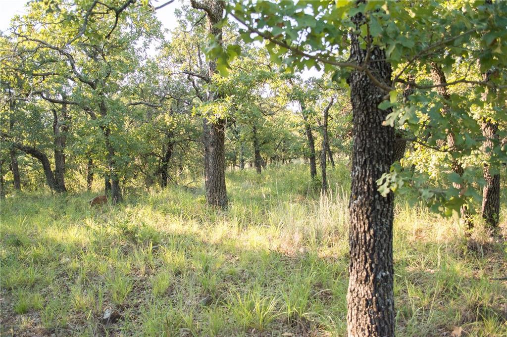 7-R Ranch - Land