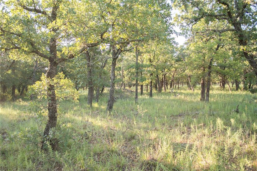 7-R Ranch - Land