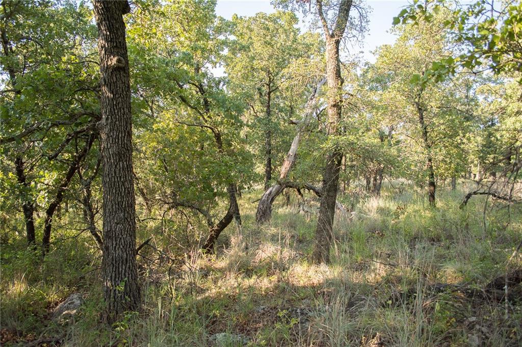 7-R Ranch - Land