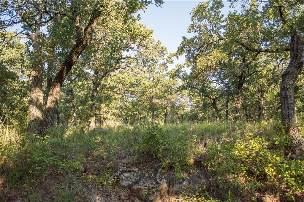 7-R Ranch - Land