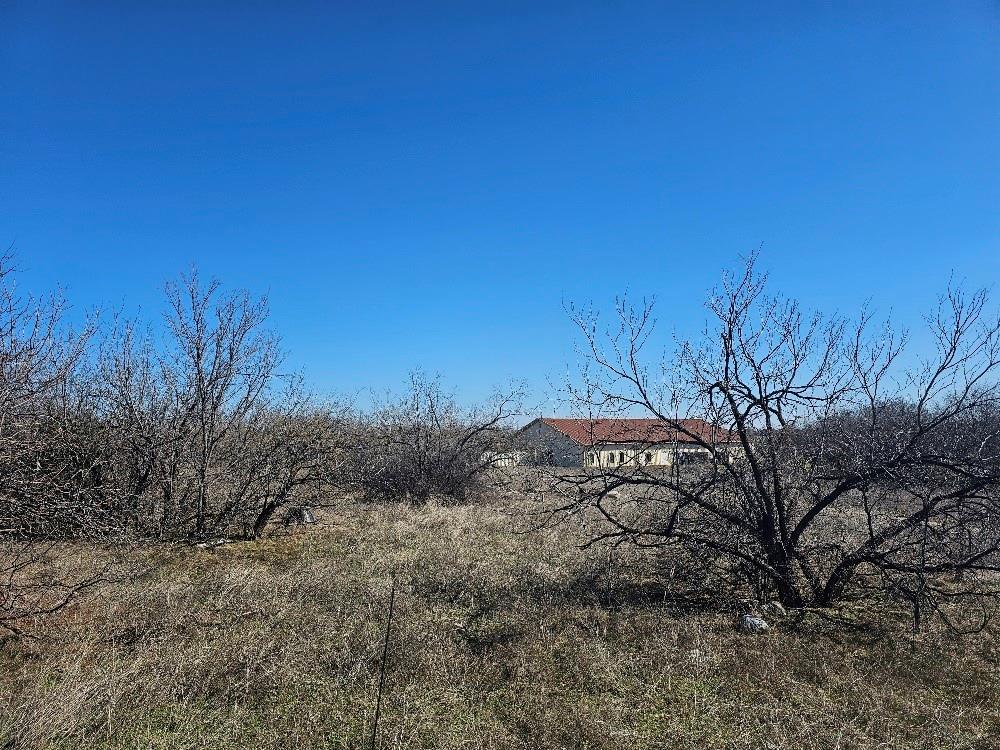Hatcher, S A Survey - Land