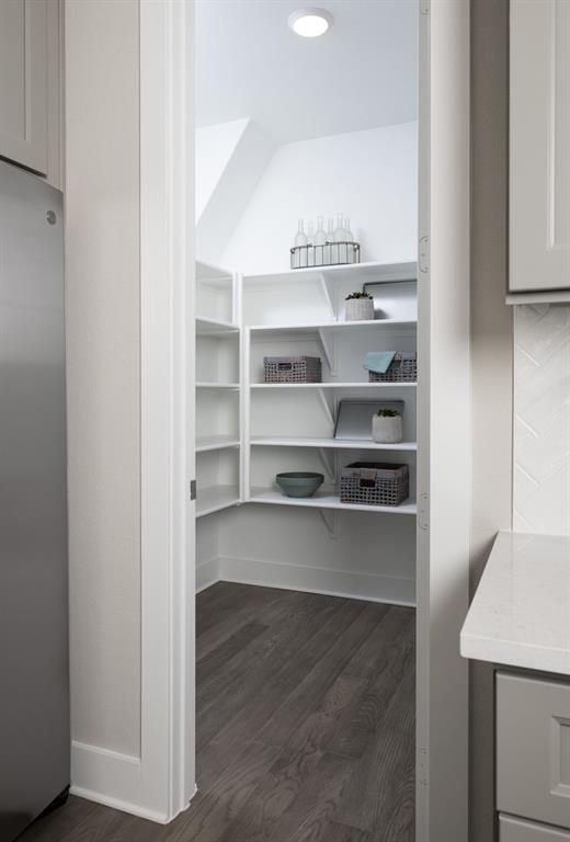 Discovery Collection at Painted Tree - Residential