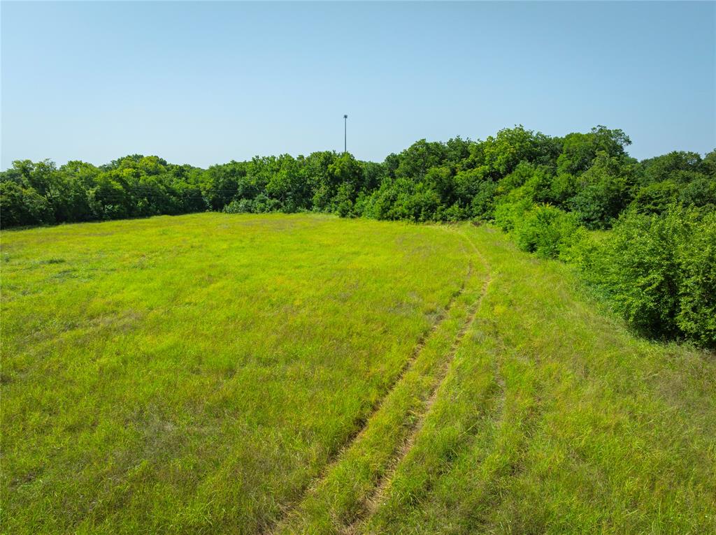 Thomas A Rhodes Survey - Land
