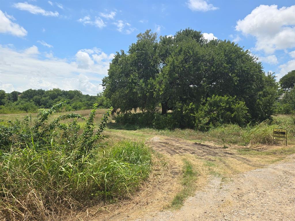 Thomas A Rhodes Survey - Land