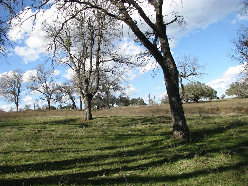 Buffalo Crk Ranch - Land