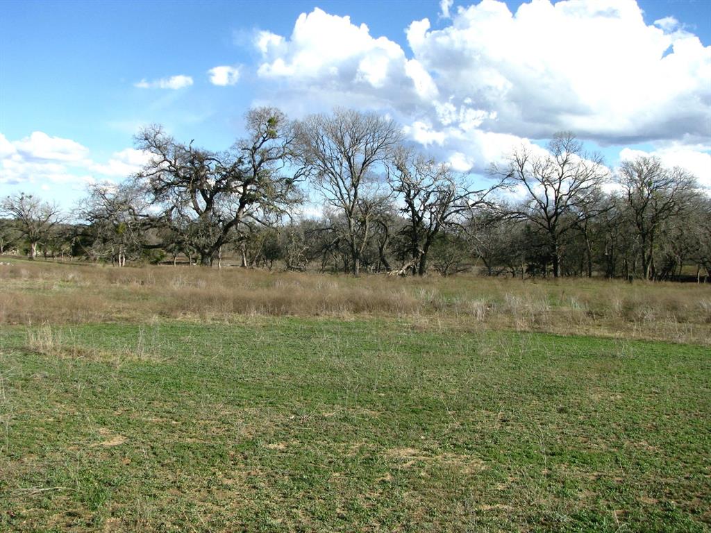 Buffalo Crk Ranch - Land