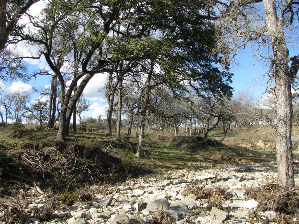 Buffalo Crk Ranch - Land