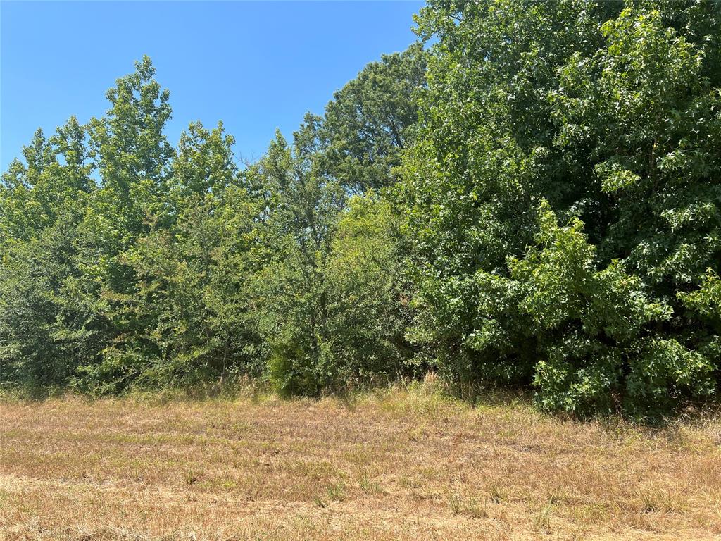 Nice, wooded tract, sits next of a manufacturing warehouse on the East side and the KCS Railroad track is the North boundary.