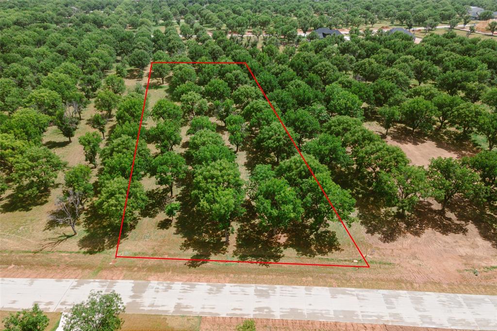 Pecan Plantation - Land
