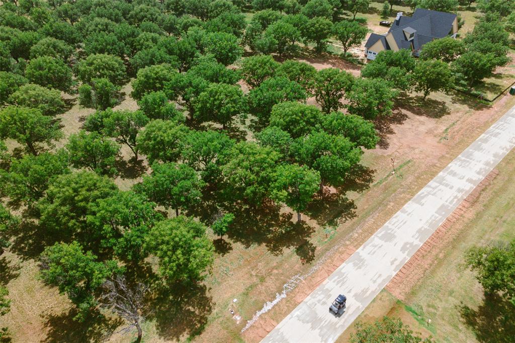 Pecan Plantation - Land