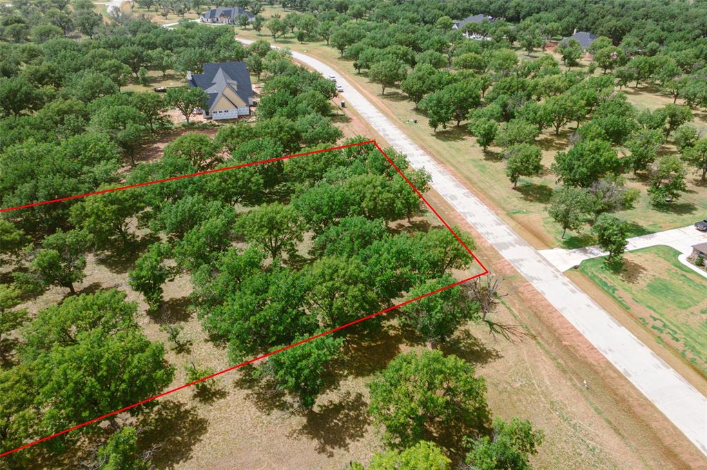 Pecan Plantation - Land