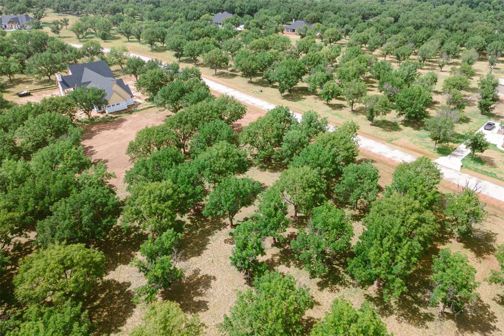 Pecan Plantation - Land