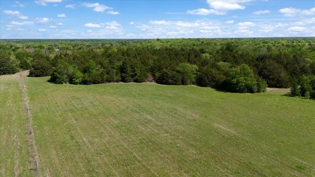 15 Acres with mature trees and privacy, just minutes away from Texas A&M University-Commerce, shopping, restaurants, and downtown. Come build your dream home, bring cattle, or invest. There are endless possibilities with no restrictions and an existing Ag exemption for lower taxes. Come see this gorgeous land before it's gone.