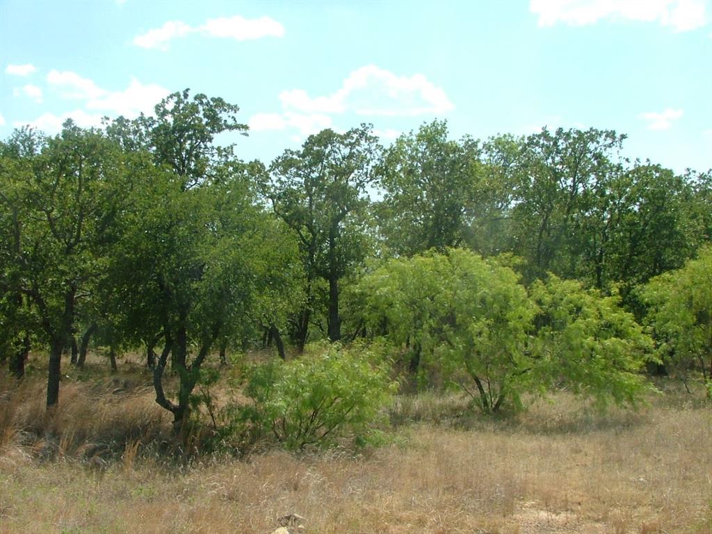 North Star Pointe - Land