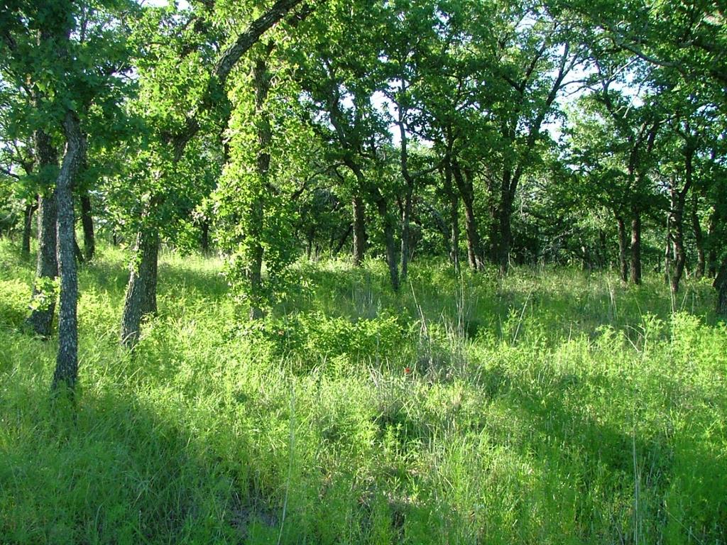 Interior lot in beautiful North Star Pointe on Lake Bridgeport. This is an upscale gated community of North Star Pointe. Lake Bridgeport, a 12,000 acre lake that is a first choice of boaters, skiers, fishermen, and other water sports. The community features its own private water system, paved streets, underground utilities, on one plus size acre lots. The community pool, pickle ball court, boat ramp and day slips at North Star Pointe are available to all owners. Come enjoy the lake Community.