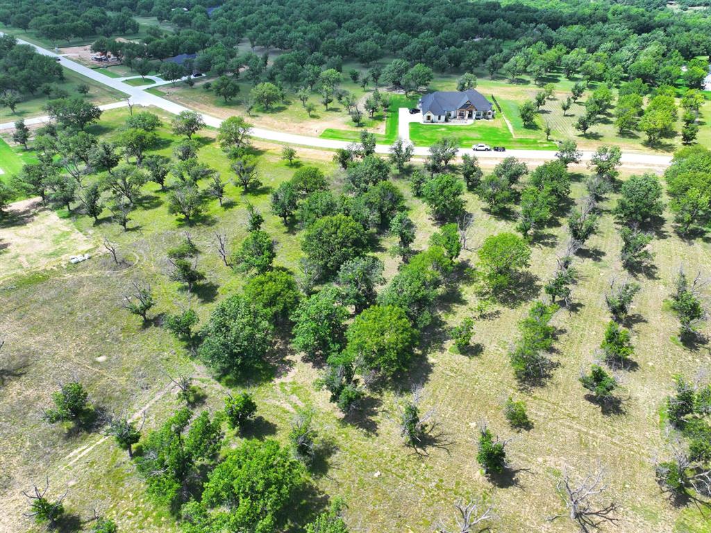 Pecan Plantation - Land