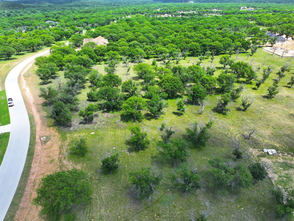 Pecan Plantation - Land