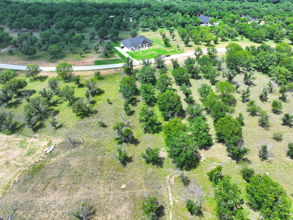 Pecan Plantation - Land