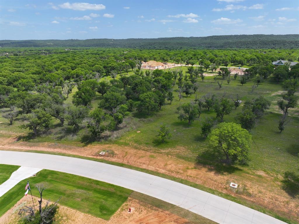 Pecan Plantation - Land