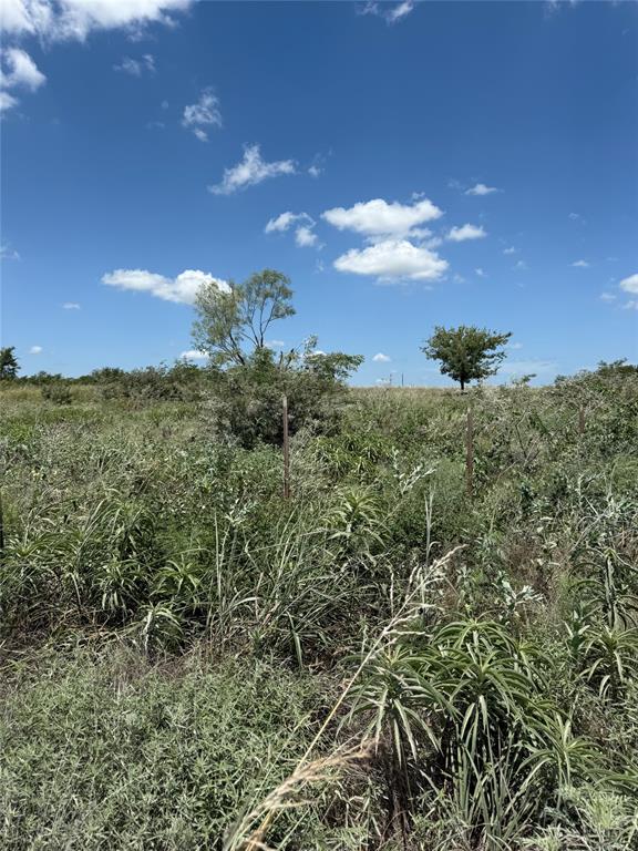 Just a few minute drive from Moss Lake, build your dream home or vacation home on this beautiful 10 acre lot!