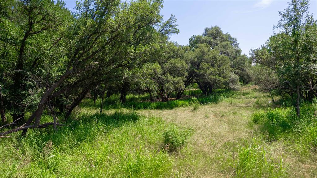 Hog Creek - Land